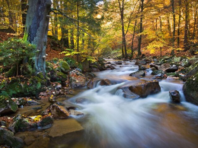 Ιλζενμπουργκ: Στους πρόποδες του Χαρτς, εκεί όπου η ιστορία συναντά τη φύση