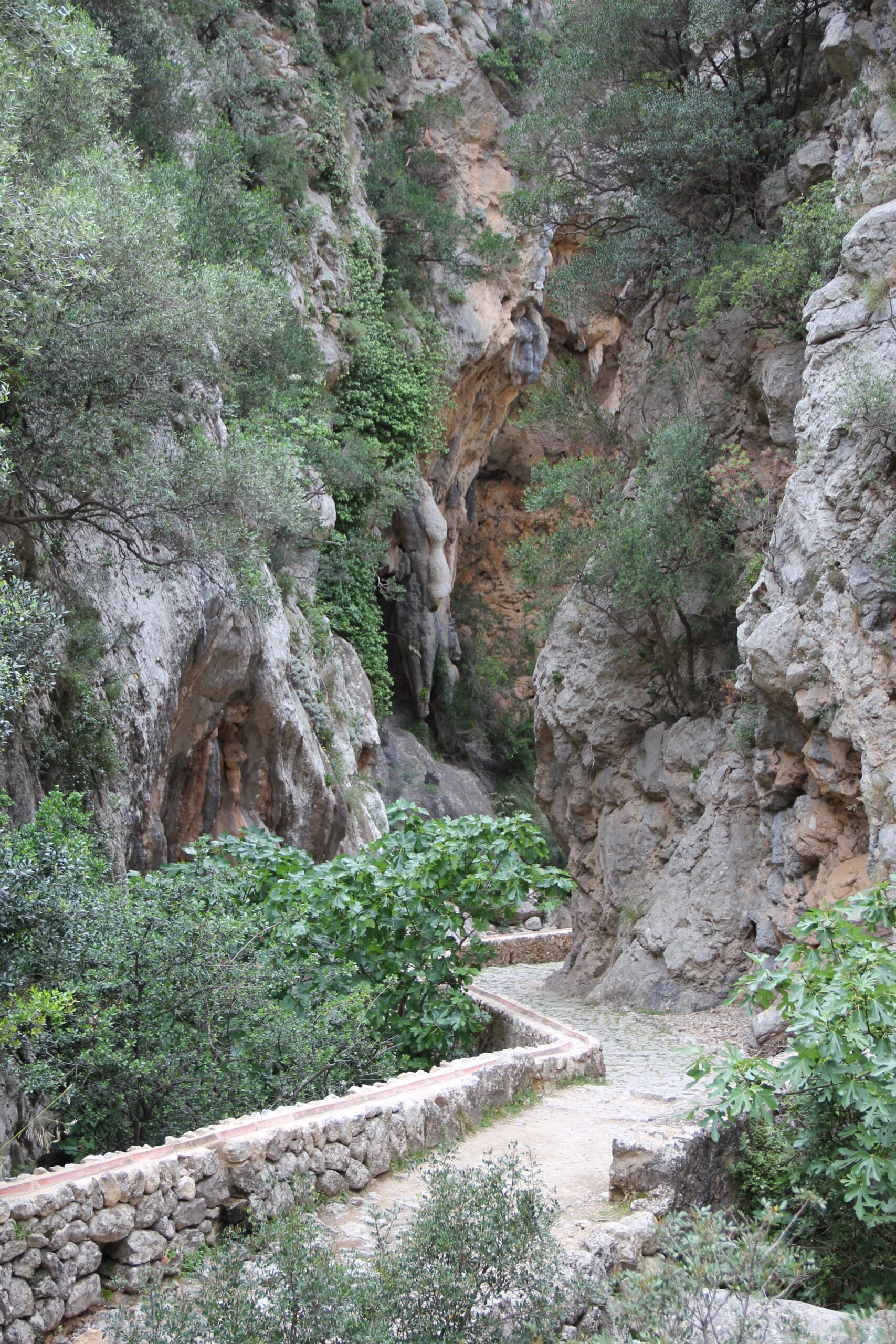 Barranc de Biniaraix – Wikipedia