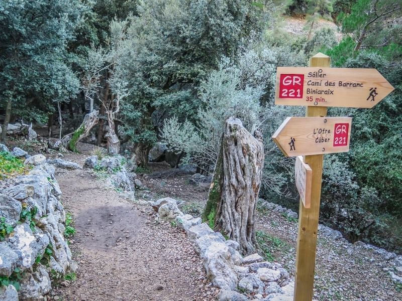 Blog Aimia Hotel | Things to do in Port de Soller | Travel Ideas