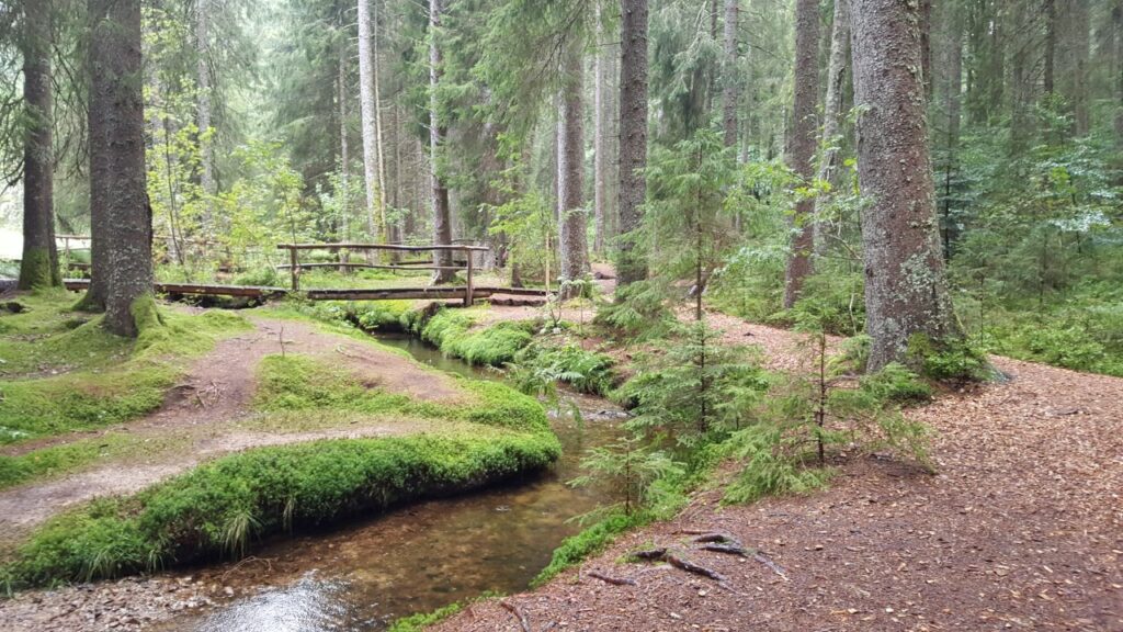 Ravenna Gorge Hike, Self-Guided Day Hike | Black Forest Tours