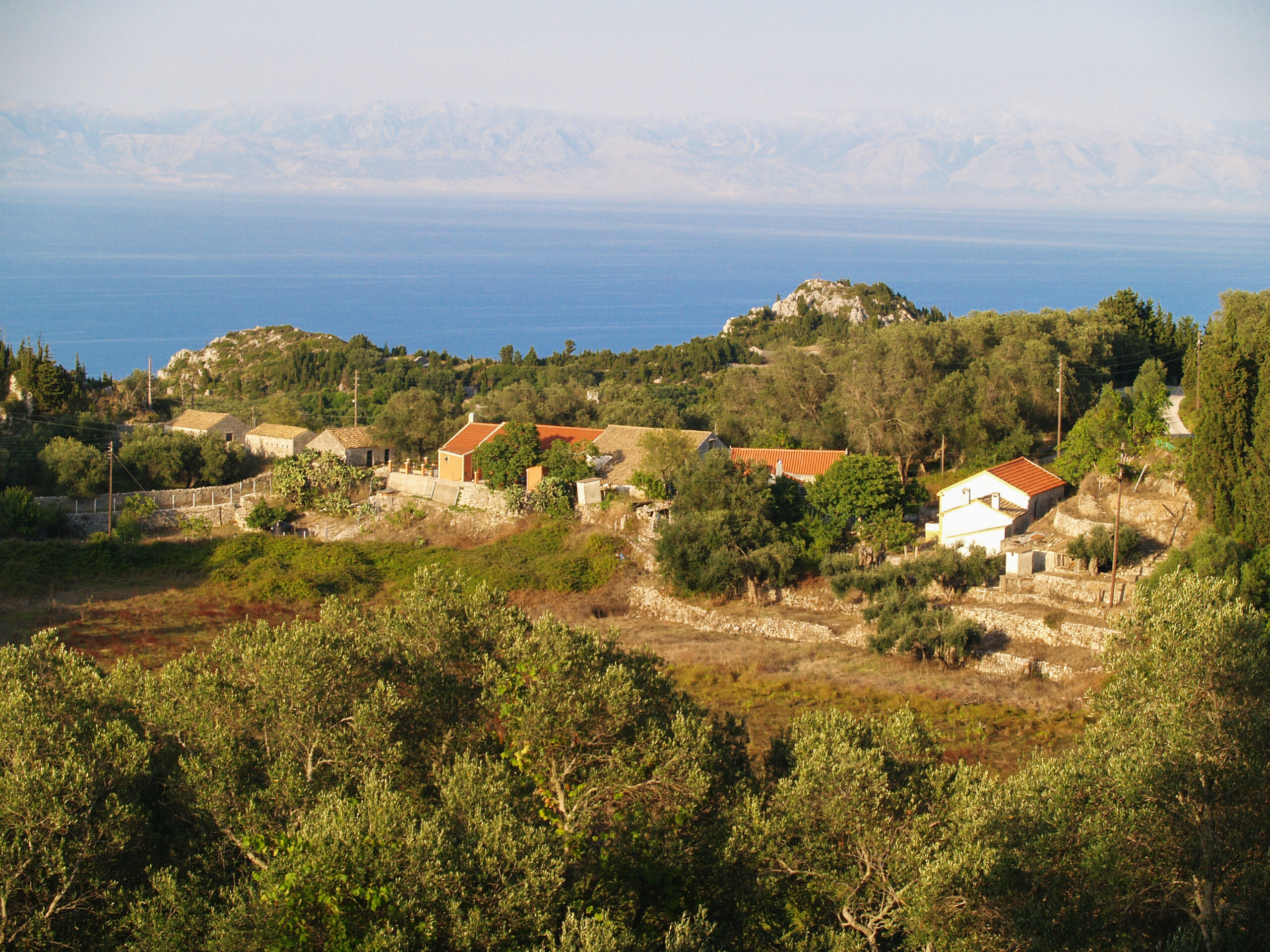 Δάφνη Οθωνών - Βικιπαίδεια