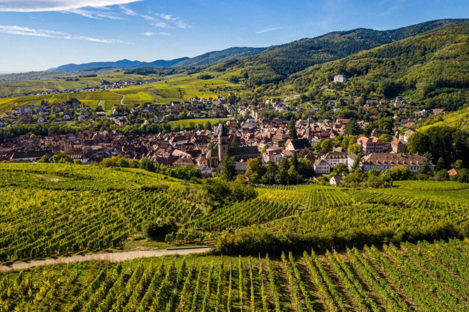 Que faire à Ribeauvillé 2026 ⭐️ Activités à faire en Alsace