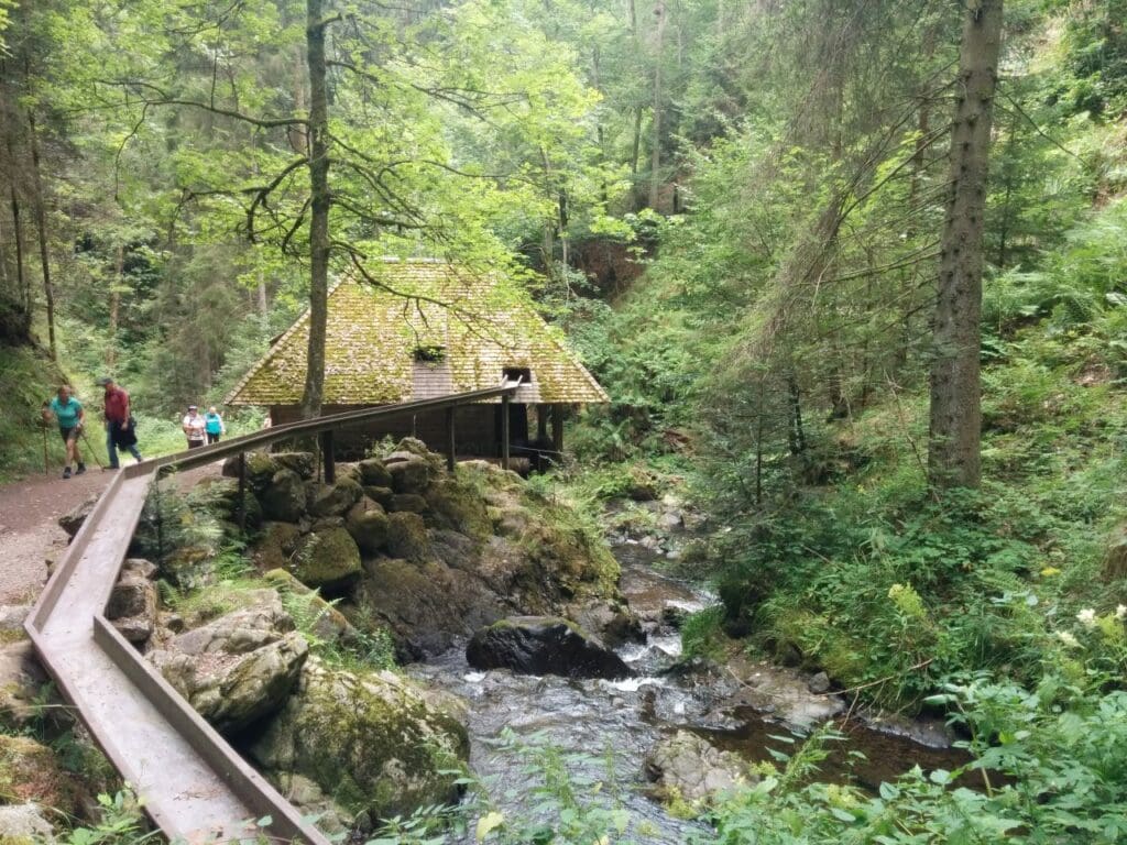 Ravenna Gorge Hike, Self-Guided Day Hike | Black Forest Tours