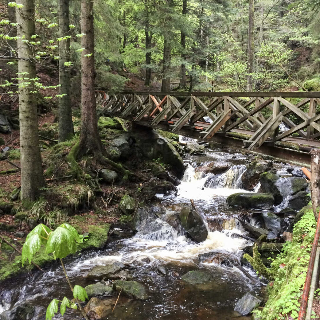 Ravenna gorge, Breisgau, Black ForeSt. Germany stock photo
