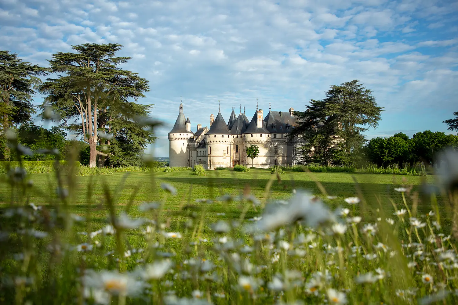 Το Château de Chaumont-sur-Loire μέσα στο καταπράσινο Domaine