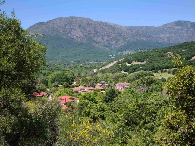Οδοιπορικό Γάβρος – Άγιος Δημήτριος · 08