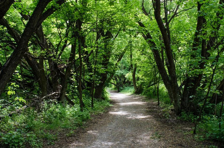 Arrowtown Recreational Reserve · σημερινό τοπίο