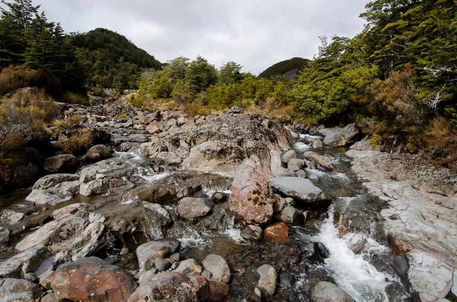 Ρυάκι πάνω από τους Mangawhero Falls