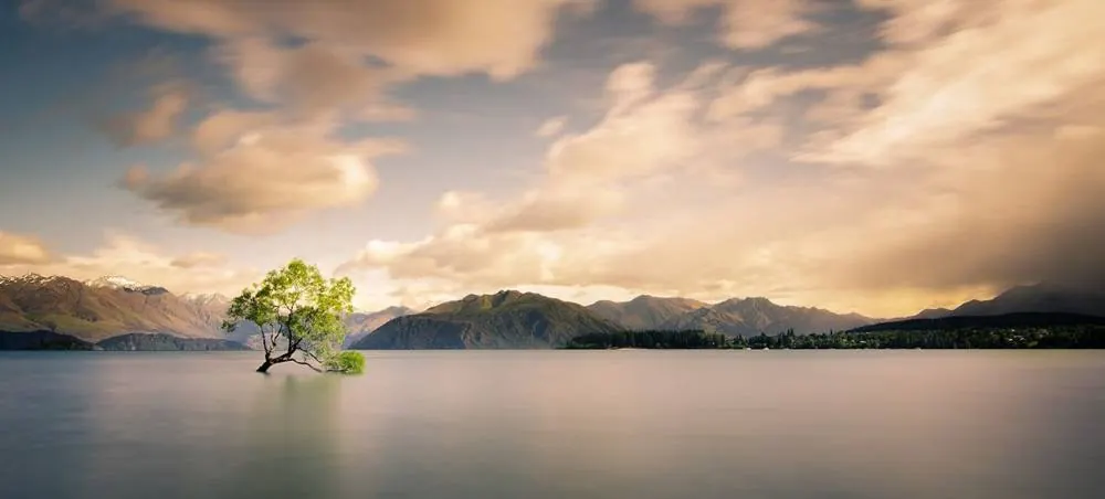Diamond Lake & Lake Wānaka Lookout