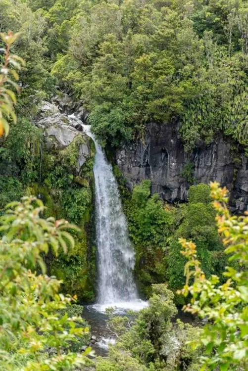 Taranaki Falls Track